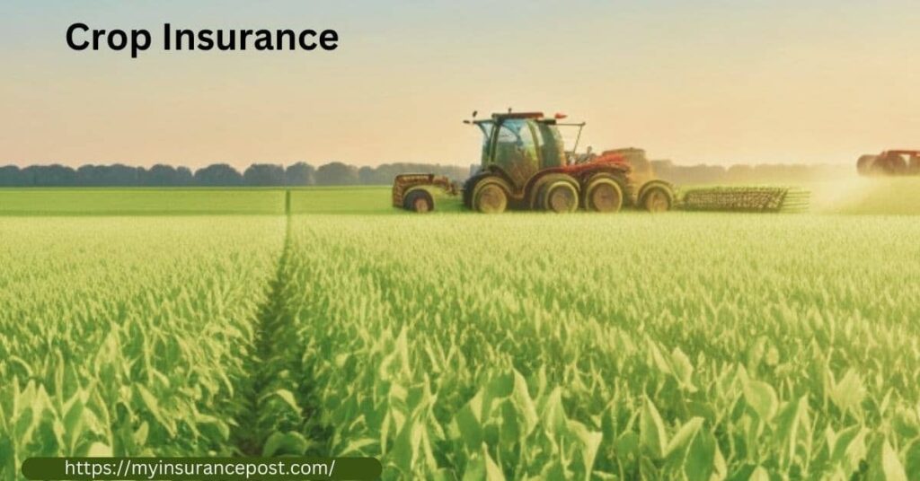 Crop Insurance